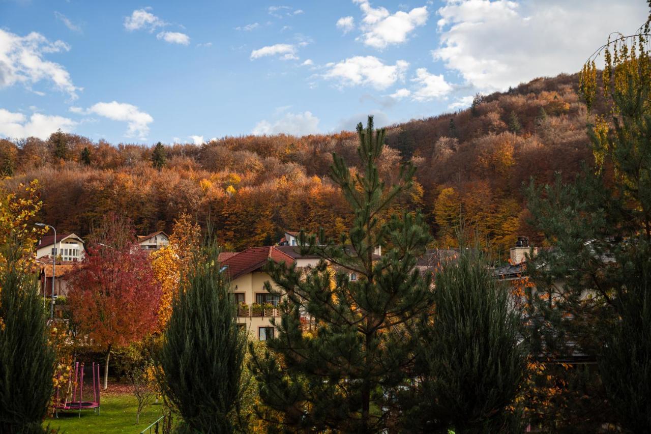 Jungle Family Villa Near Park Aventura,Lake,Zoo Brasov Luaran gambar